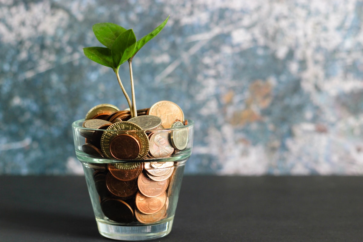 Simulação de financiamento: quanto você pode financiar?